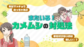 【ママスタセレクト】寄ってくるから、そっとサヨナラ。「カメムシ」対策特集を配信