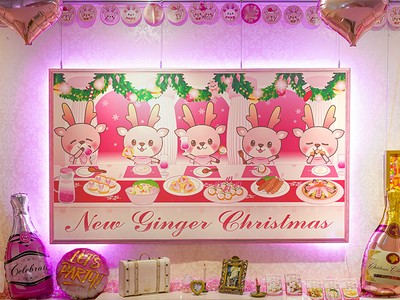 新生姜の部屋~イワシカのクリスマスイルミネーション~
