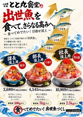 大出世！頂上丼