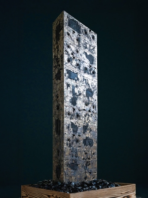 第11回リサイクルアート展　一般の部グランプリ作品