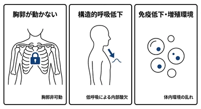 がんが進行しやすい"体内環境の乱れ"を新たに確認 ──胸郭が動かない睡眠が免疫を弱める構造的リスク
