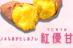 茨城県が誇るブランドさつまいも「紅優甘」を「ＪＡタウン」で販売開始