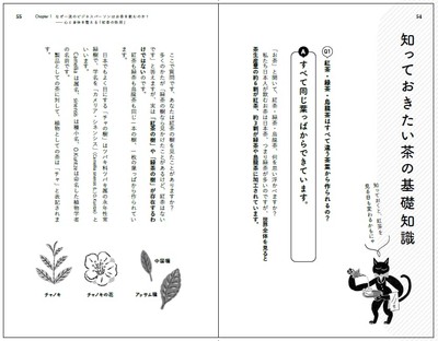 知っておきたい茶の基礎知識（本文より）