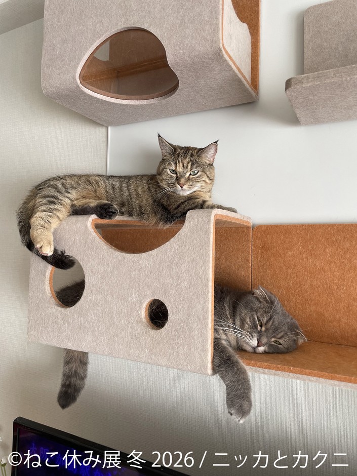 展示作品：ニッカとカクニ