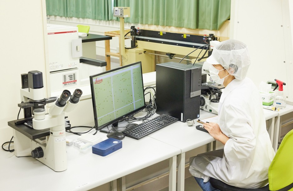 BSCIでは、毎日、微細藻類の収穫前に、顕微鏡による検査を行い厳密な品質管理を行なっている。