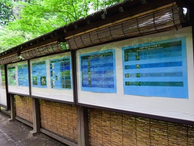 解説パネル展示