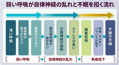 眠れないのは、呼吸が弱くなるのため（自覚できない）──睡眠中は重力が90度変わり、呼吸が弱くなる。結果、心拍と血圧をあげ、自律神経を乱して、健康リスクを高める