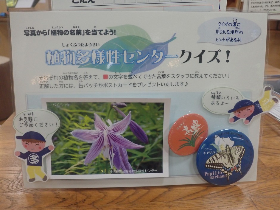 景品のポストカードと缶バッジ