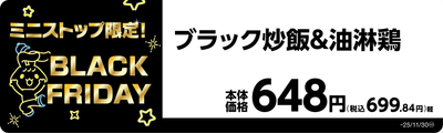 ブラック炒飯＆油淋鶏　販促画像