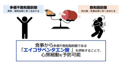 本研究の概要