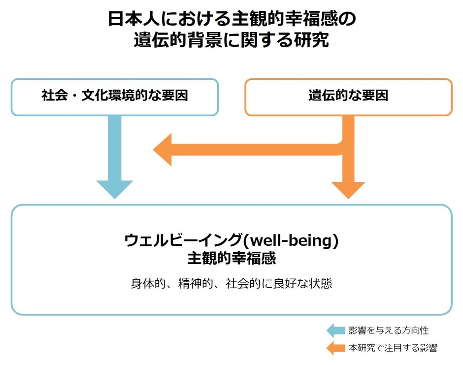 本研究の概要図