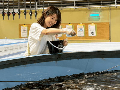 人気コンテンツとなっているうなぎの餌やり体験