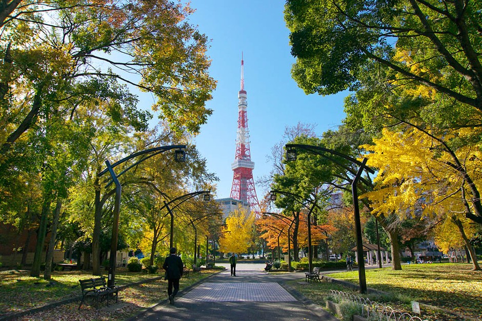 会場の４号地プロムナード