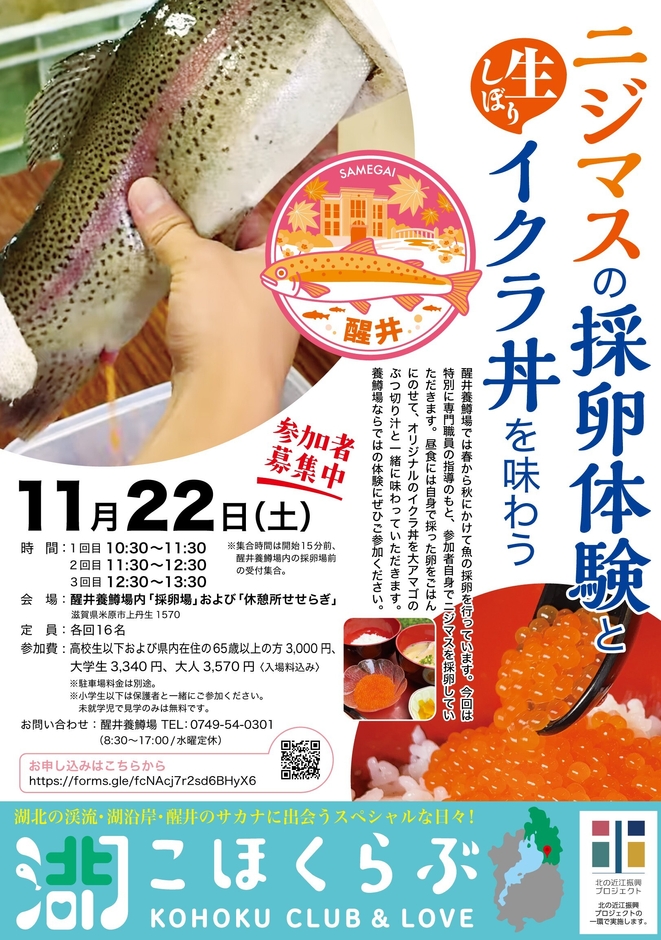 チラシ表面
