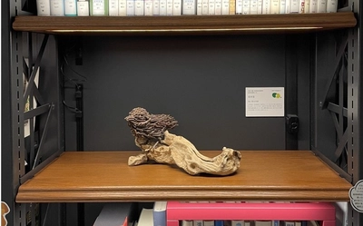 書棚のテーマと配架図書から着想を得て立体アート作品を制作　造形芸術を学ぶ近大文芸学部生が「図書とアート展」を開催