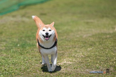 この笑顔の先にゴールがある