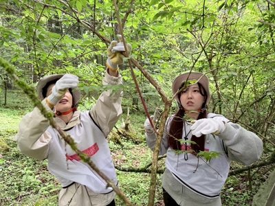 サンショウバラの保全活動２