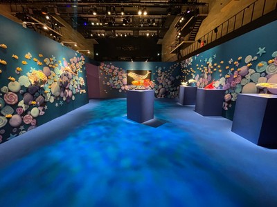 お菓子の水族館