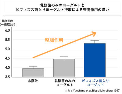 乳酸菌のみヨーグルトとビフィズス菌入りヨーグルトの整腸作用の違い