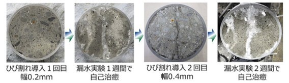 写真1：ひび割れの自己治癒状況