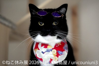 【ねこ休み展】展示作品：unicouniuni3