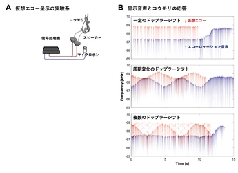 コウモリは獲物を見つけるために"静寂"を作る