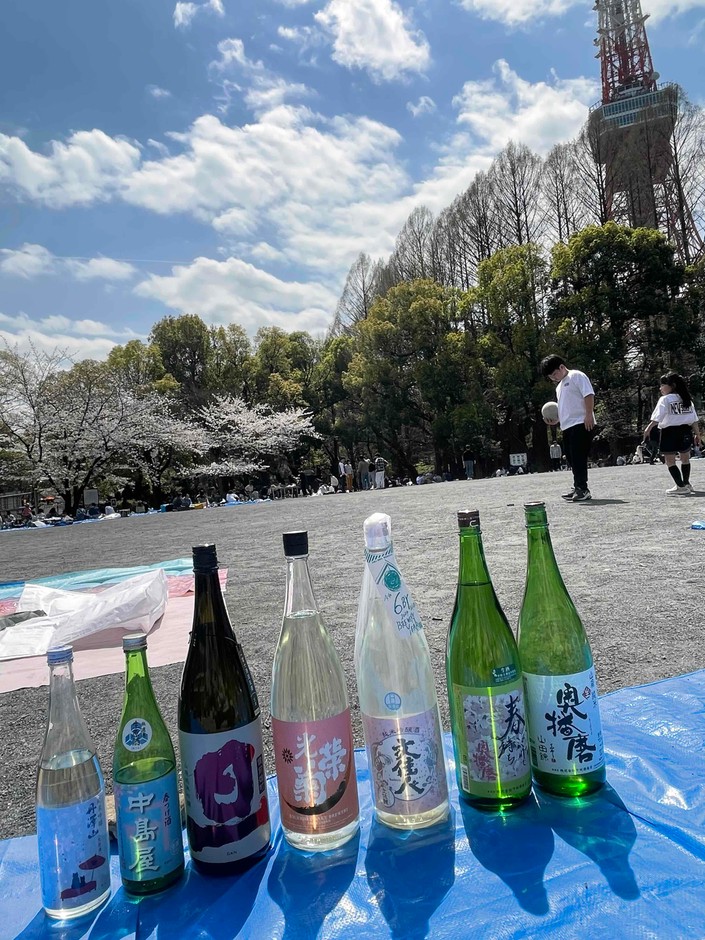 昨年のお花見