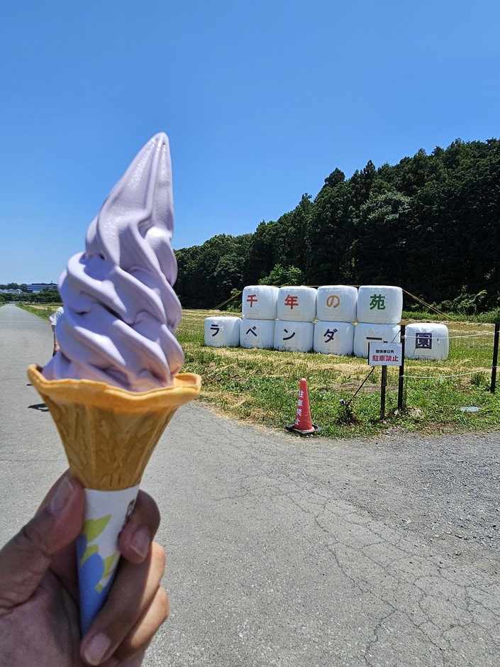 ラベンダーソフトクリームと牧草ロール