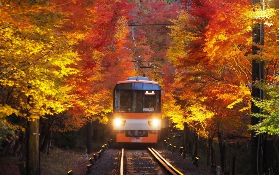 「もみじのトンネル」を走行する展望列車「きらら」