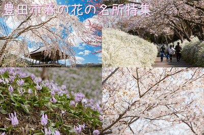 豊田市春の花の名所特集