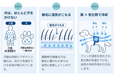 10_空調ペット服の涼しさの仕組み