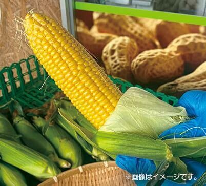 とうもろこし早むき大会(7/4(土)～計3回)