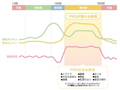 図1：PMSが現れる時期と主な症状
