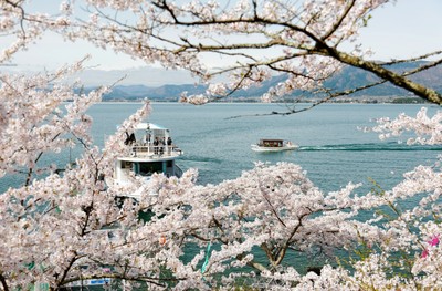 海津大崎