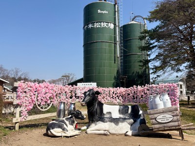 どうぶつふれあい広場