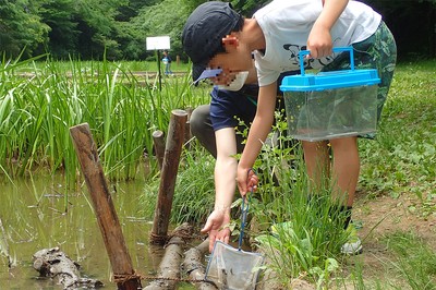 網を使ってそ~っと掬い取ります