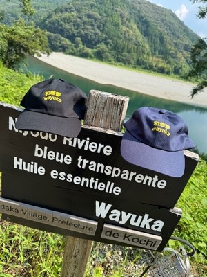 wayukalabo2