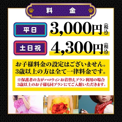 料金