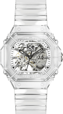 025684 / Transparent skeleton