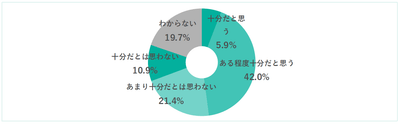 図：情報セキュリティ対策の充足度