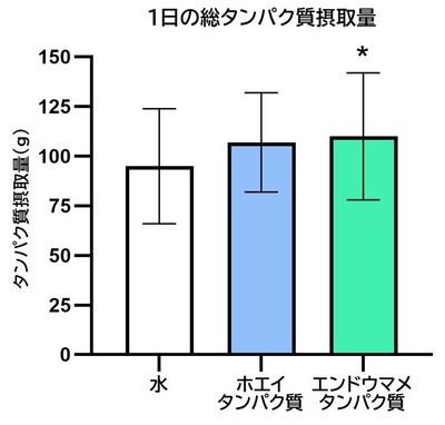 図2　実験日の総タンパク質摂取量　 ⋆ p<0.05 vs 対照（水）　 ※Bonferroniの多重比較検定