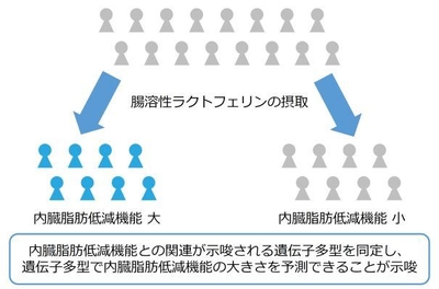 本研究結果の概要図