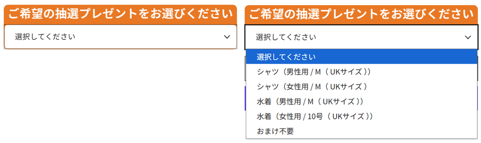 「カートに追加する」ボタンの上部にある選択メニュー