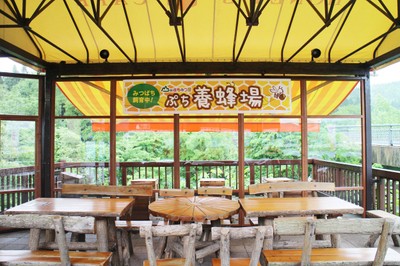 ぷち養蜂場