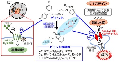 論文概要図