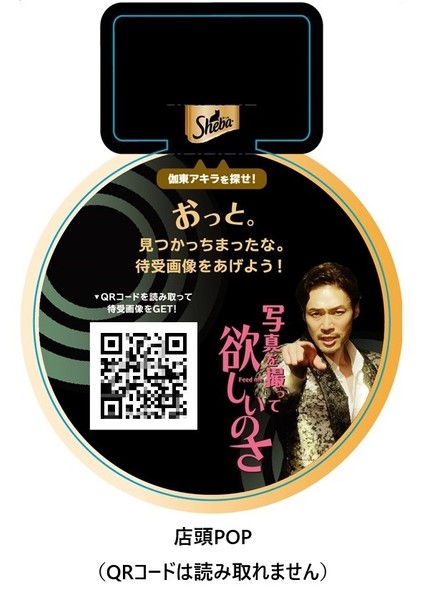 店頭POP (QRコードは読み取れません)