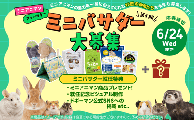 第4期ミニバサダー大募集！