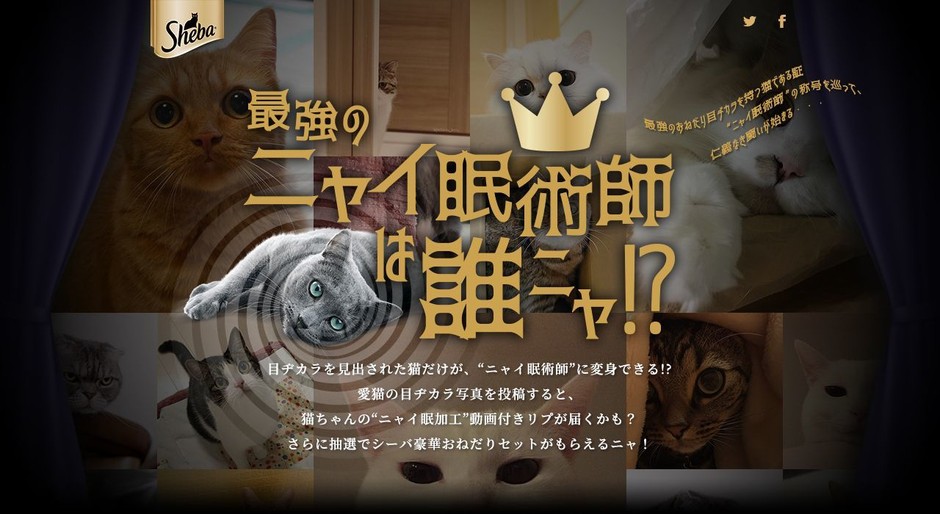 最強のニャイ眠術師は誰ニャ!?