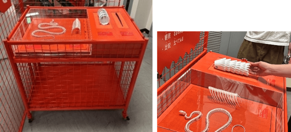 【展示台3】骨格標本とハンズオン