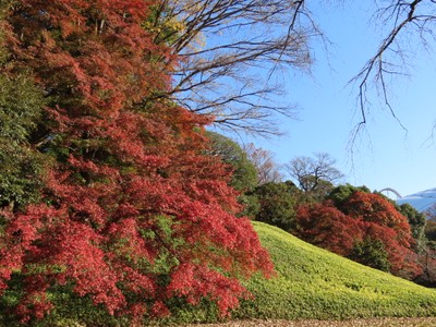 紅葉と小廬山(11月29日撮影)